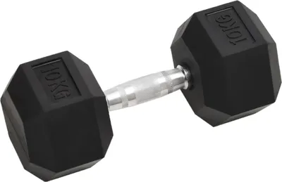 Zdjęcie produktu dla vidaXL Hantle 2 szt. 20 kg żeliwne