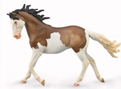 Obrázok produktu pre Bay Splash Overo Mustang kobyla
