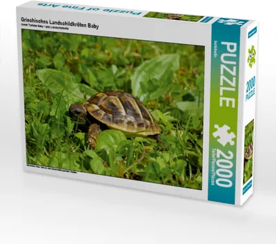 Produktbild von Calvendo Griechisches Landschildkröten Baby 2000 Teile Puzzle quer 900x670mm, CALVENDO; 7416859