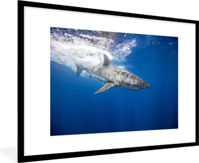 Produktbild von MuchoWow® MuchoWow® Gerahmtes Poster Hai - Meer - Wasser 90x60 cm - Poster mit zchwarzem Bilderrahmen - Wanddekoration - Fotos