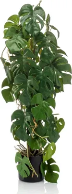 Zdjęcie produktu dla Szmaragdowa sztuczna monstera 75 cm w doniczce
