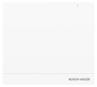Produktbild von Busch-Jaeger System Access Point 2.0 SAP/S.13 2CKA006200A0154