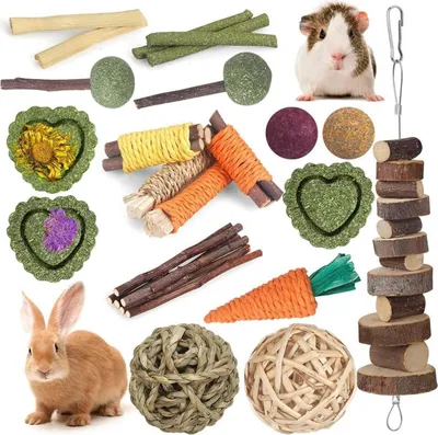 Image de Set de jouets pour lapins et lièvres, 18 pièces, bâtonnets de foin naturel, bois de pommier, soins dentaires, fait main