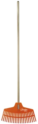Immagine prodotto di DEDRA Rastrello con manico in legno - 80C053