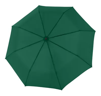 Immagine prodotto di doppler ombrello tascabile ombrello Salzburg Magic MIA Green verde scuro