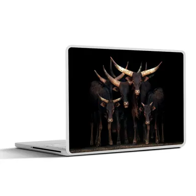 Produktbild von MuchoWow® Laptop Aufkleber Sticker Cover Kühe - Watussi - Schwarz 25x18 cm - Laptop-Deko
