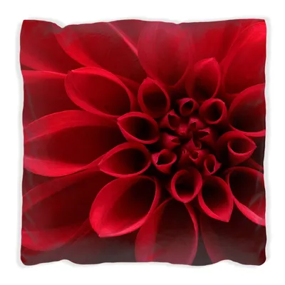 Produktbild von Wallario Premium Kissen, weiche Oberfläche, mit Motiv Rote Dahlienblüte in Nahaufnahme, Größe: 60 x 60 cm, mit weißer Rückseite