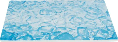 Produktbild von TRIXIE Kühlplatte - blau - 35 × 25 cm
