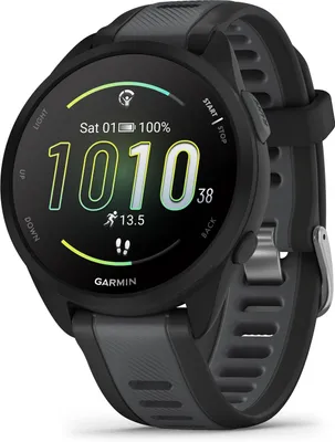 Image de Garmin Forerunner 165 Music Grey/Black