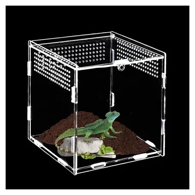 Productafbeelding van Voederbox voor Reptielen, Set van 2 Stuks