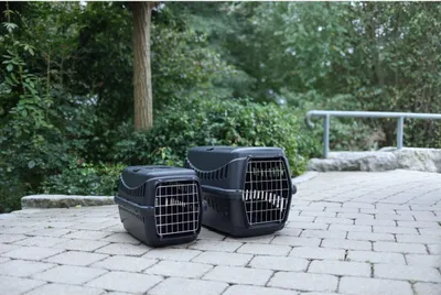 Produktbild von Transportbox Expedition