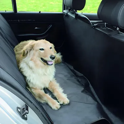 Immagine prodotto di Coperta di protezione per auto Nobby L x L: 215 x 145 cm nero