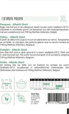Produktbild von Kürbis Atlantic Giant | Riesenkürbissamen von Hortitops