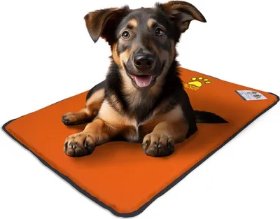 Produktbild von EVE Textile Hundematte Katzenmatte 50x70x2 cm Orange Hundebett Katzenbett Haustiermatte Beidseitig Verwendbar Atmungsaktiv Kühlend Wendbar Leicht