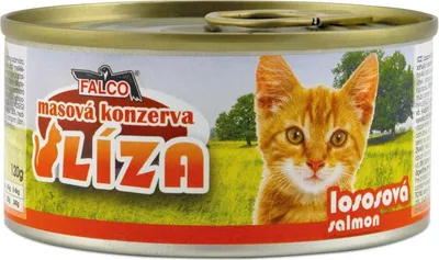 Image de LISA saumon 120 g