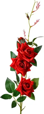 Immagine prodotto di Fiore artificiale Clayre & Eef Rosa 83 cm plastica rossa