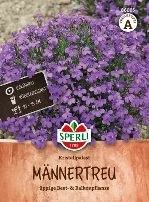 Produktbild von SPERLI Männertreusamen Kristallpalast Lobelia erinus 90 Pflanzen