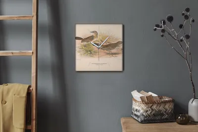 Produktbild von Coloray Hodiny Unikátní 30x30 cm  Tiché hodiny Pro obývací pokoj a kuchyň Nástěnné hodiny Plátno Bílé ručičky hodin - Ptáci zvířata