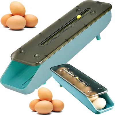 A product shot of an egg holder with eggs.