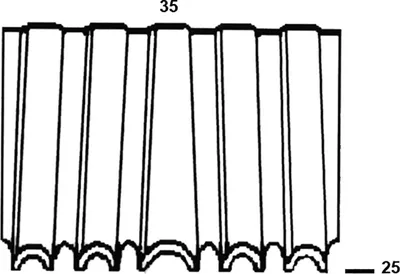 Produktbild von ALSAFIX Wellennägel Type WN35 25 mm verzinkt Wellenstärke 3 mm (5000 Stück)
