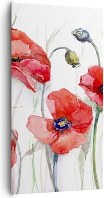 Produktbild von Bild auf Leinwand - Leinwandbild - Blume Mohn Wiese - 65x120cm - Wand Bild - Wanddeko - Wandbilder - Leinwanddruck - Bilder - Kunstdruck - Wanddekoration - Leinwand bilder - Wandkunst - PA65x120-3584