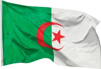 Produktbild von PHENO FLAGS Algerien Flagge 90 x 150 cm Algerische Fahne Algeria 2 Ösen