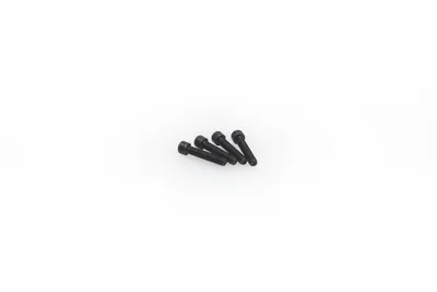 Obrázek produktu pro LRP M2x10mm šroub s vnitřním šestihranem (10ks)