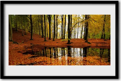 Produktbild von Bild 60x40 MDF-Rahmen Wandkunst Natur Wald Bäume