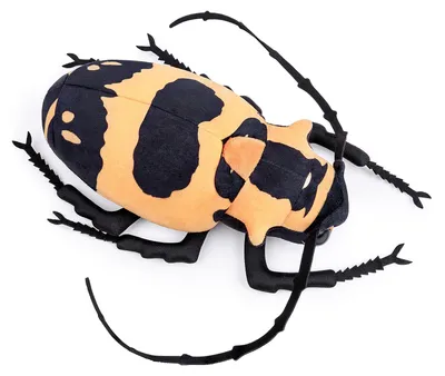 Imagen del producto de Longicorn Knuffeldier: Peluche de 24 cm en colores alegres