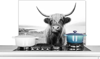 Produktbild von KitchenYeah®  Spritzschutz Küche - Küchenrückwand - Wandschutz für Herd und Spüle - Tiere - Schottisches Hochlandrind - Kuh - Schwarz - Weiß 80x55 - Alu-Dibond (Alternative zum Spritzschutz aus Glas)