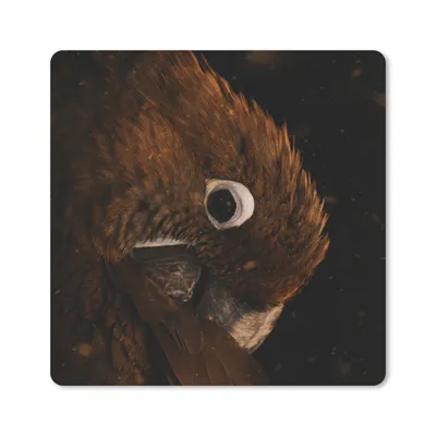 Produktbild von MuchoWow® Mauspad Mousepad Papagei - Orange - Schwarz 30x30 cm - Mousepads - Maus Mat - Pad - Mausunterlage - Gaming