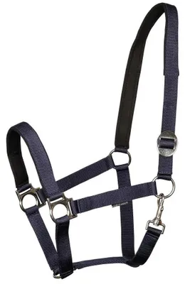 Image de Harry's Horse Licol Padded Noir Cob Noir Cob