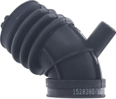Produktbild von RIDEX 1591I0059 Ansaugschlauch Luftfilter für BMW 3 Limousine (E46)