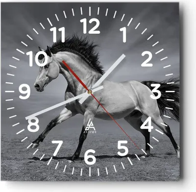 Produktbild von Wanduhr - Quadrat - Glasuhr - Pferd Tier Natur - 40x40cm - Schleichendes Uhrwerk - Lautlos - zum Aufhängen bereit - Dekoration Modern - Wanddekoration aus Glas - C4AC40x40-3608