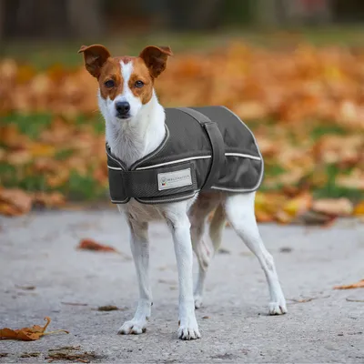 Immagine prodotto di Coperta per cani Waldhausen Comfort Line 200 g