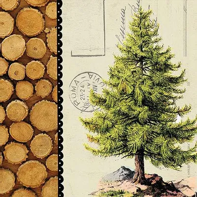Servietten 33x33 cm, Tannendesign, 20 Stück, für Tischdekoration