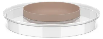 Immagine prodotto di Mepal Chef it ciotola di miscelazione coperchio paraspruzzi ciotola di miscelazione chef it 3000 ml - gesso Ø223 x 37 102308531500
