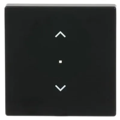 Immagine prodotto di Busch-Jaeger bilanciere sw mt futuro lineare 6232-10-885
