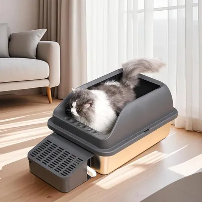 A cat is inside a modern, open-top litter box with a ramp, placed on a wooden floor next to a sofa and sheer curtains.