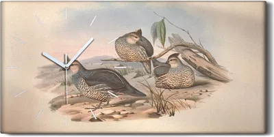 Produktbild von Wohnzimmer-Bild Leinwand Uhr Geräuschlos 60x30 Vögel Wild Tiere Zeichnung Kunst - weiße Hände