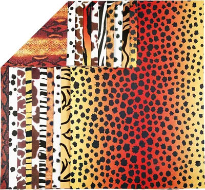 Produktbild von Creativ Company CC Colortime Kartontiere A4 10 Blatt