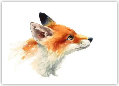 Produktbild von Poster - Poster ohne Rahmen - Fuchs Tier Natur - 70x50 cm - Wand Bild - Wanddeko - Wandbilder - Kunstposter - Wandposter - Bilder - Kunstdruck - Wanddekoration - Wandbild - P2XAA70x50-3904