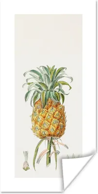 Produktbild von MuchoWow® Poster Lebensmittel - Ananas - Obst 60x120 cm - Wandschmuck