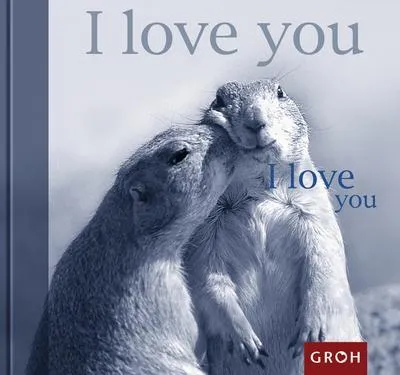 Produktbild von I love you