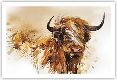 Produktbild von Poster - Poster ohne Rahmen - Stier Scotch Aquarell - 91,5x61 cm - Wand Bild - Wanddeko - Wandbilder - Kunstposter - Wandposter - Bilder - Kunstdruck - Wanddekoration - Wandbild - P2XAA91x61-4708