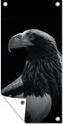 Produktbild von MuchoWow® 40x80 cm Outdoor-Poster Gartendeko Sichtschutz Garten Poster für den Garten  Adler - Nahaufnahme - Schnabel