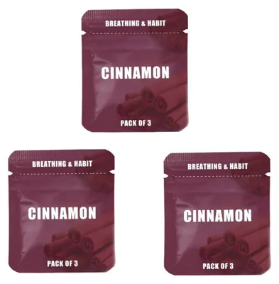 Zimt-Duftkerne für Ketten-Diffuser, 9 Stück, natürlich