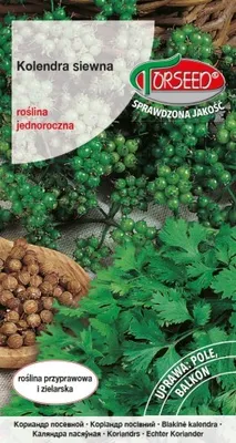 Produktbild von Koriandersamen, Coriandrum sativum 2g - Torseed