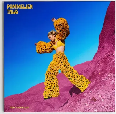 Obrázok produktu pre Pommelien Thijs: Per Ongeluk