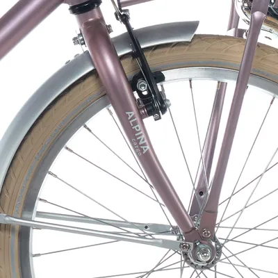Produktbild von Alpina Fork 22 Frachtholz Rose Matt